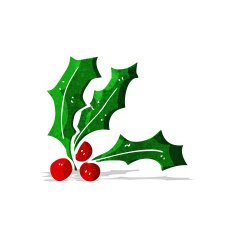 Cartoon Holly N35