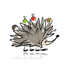 Funny hedgehog sketch for your design N8