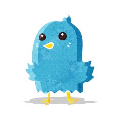Cartoon Bird N579