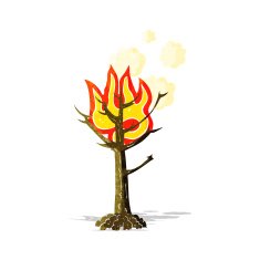 cartoon burning tree N45