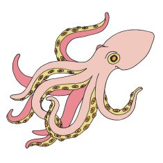 Hand drawn octopus