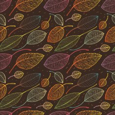 autumn leaf background N17