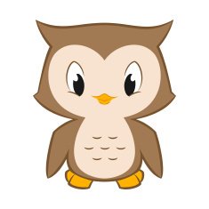 Little Owl N2