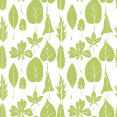 vector seamless pattern with leaves N12