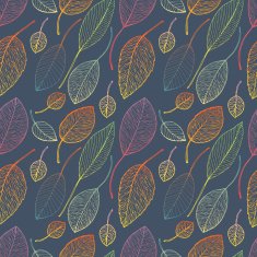 autumn leaf background N19