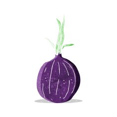 cartoon red onion N18