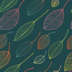autumn leaf background N20