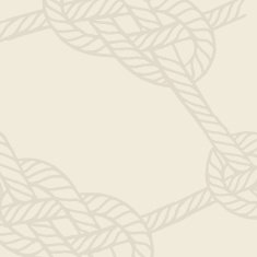 summer hand drawn background N9