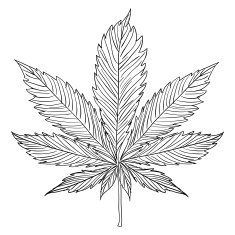 Hemp illustration in black and white free image download