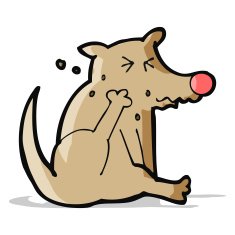 Cartoon Dog Scratching N16