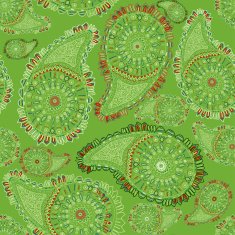 Paisley seamless pattern N24