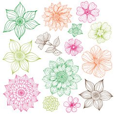 Flower Drawings N6