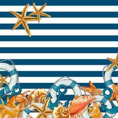 Summer Card with Sea Shells Anchor Lifeline N9