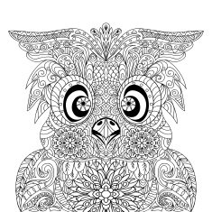 Owl Portrait mandala zentangle
