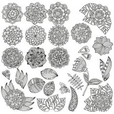 Set of hand drawn vector mandalas flowers leaves