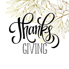 Thanksgiving - gold glittering lettering design Vector illustration N9