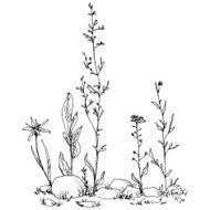 Floral composition N7
