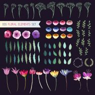 Floral elements N3