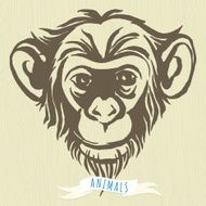 Hand drawn portrait of monkey chimpanzee N3