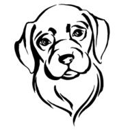 Hand drawn portrait of dog labrador Black and white N3