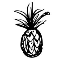 Pineapple N8