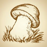 Cep on forest glade Vector drawing