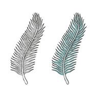 Doodling hand drawn amazing feathers with patterns N12