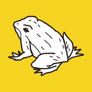 frog doodle N13