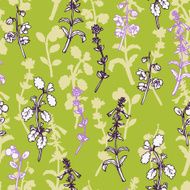 Vector seamless pattern with herbs N6