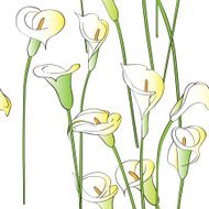 Calla pattern N2