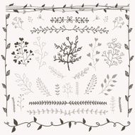 Hand Drawn Floral Design Elements N8