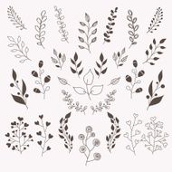 Hand Drawn Floral Design Elements N9