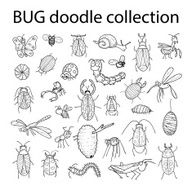cartoon insect bug icon vector illustration N2