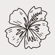 Chinese hibiscus doodle N7