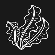 Kelp doodle N14