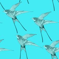 Zentangle stylized swallow seamless pattern Hand Drawn vector i