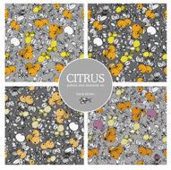set citrus ornament and elements lemon N7
