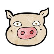 Cartoon Pig Face N16