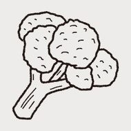 Cauliflower doodle N7