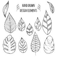 Set of hand drawn design elements Vector illustration N3