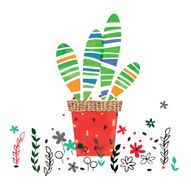 cactus plant illustration