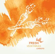 Watercolor background with carrots in vector