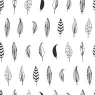 Vector feather background retro pattern ethnic doodle collection N2