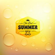Retro summer label doodle sketch style vintage calligraphic design card N15