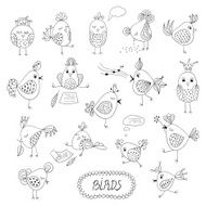 Set of cute birds in different actions N3