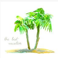 coconut palm trees on small island N2