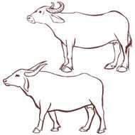 buffalo cow outline