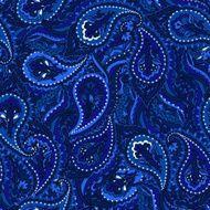 Seamless Paisley pattern N11