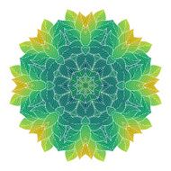 Mandala of leaves N7