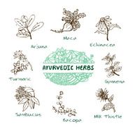 Ayurvedic herbs collection